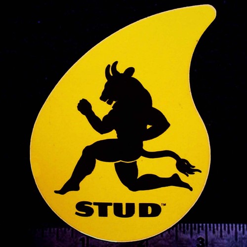 Stud trattamento olio - stud,